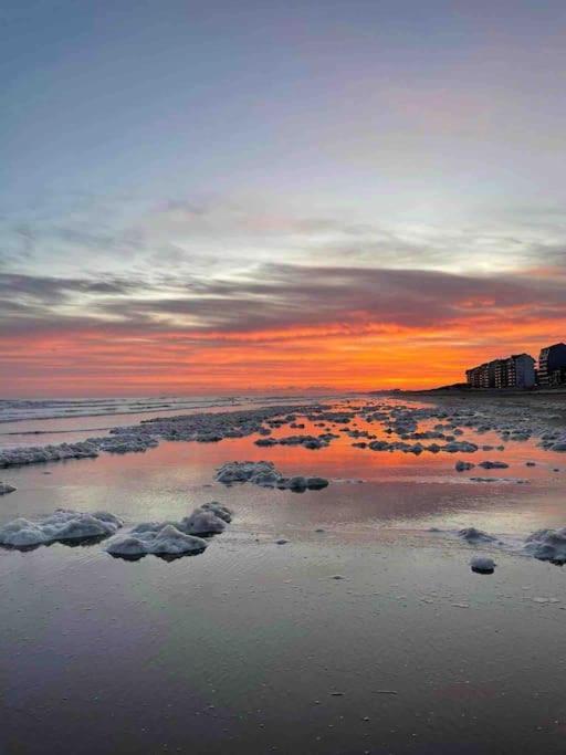 Face A La Mer, Appartement Rdc Bray Dunes Exteriér fotografie