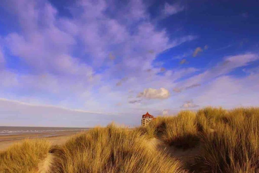 Face A La Mer, Appartement Rdc Bray Dunes Exteriér fotografie